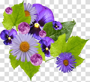 Flower Blog Painting Petal , flower transparent background PNG clipart thumbnail