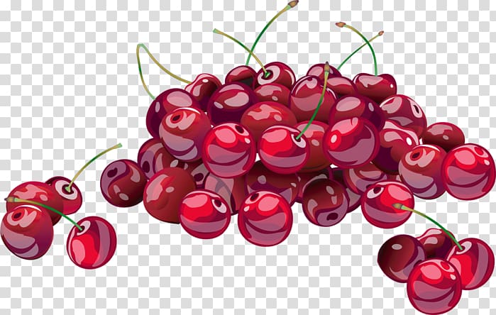 Cherries jubilee Cherry pie Sour Cherry Ice cream, fruit picking transparent background PNG clipart