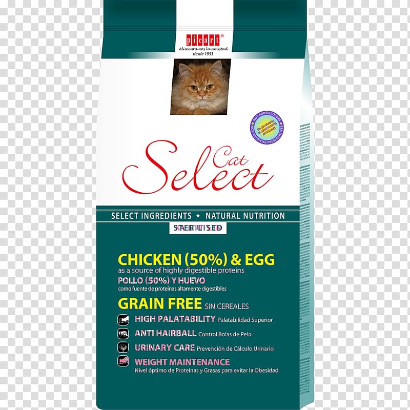 .cat Kitten Aliment composé Food, Cat transparent background PNG clipart