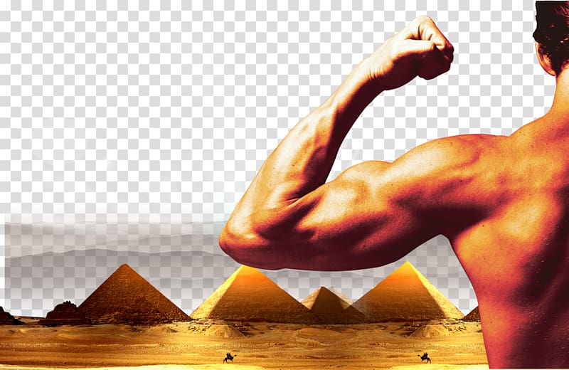 Muscle Management Business Industry, Pyramid Background People transparent background PNG clipart