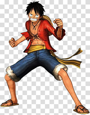 Monkey D. Luffy Edward Newgate Roronoa Zoro One Piece Straw Hat Pirates,  Chapeu Palha transparent background PNG clipart