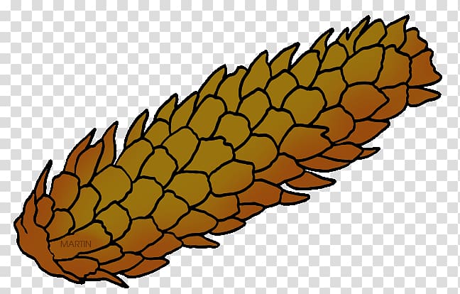 Blue spruce Conifer cone Pine Tree , tree transparent background PNG clipart