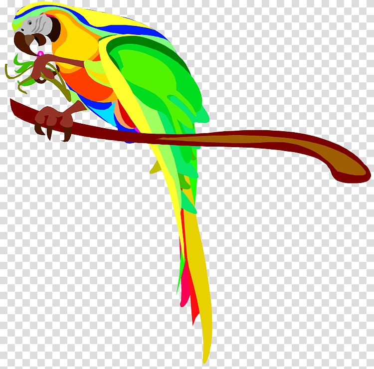 Parrot Bird Macaw , Cartoon Of Parrots transparent background PNG clipart