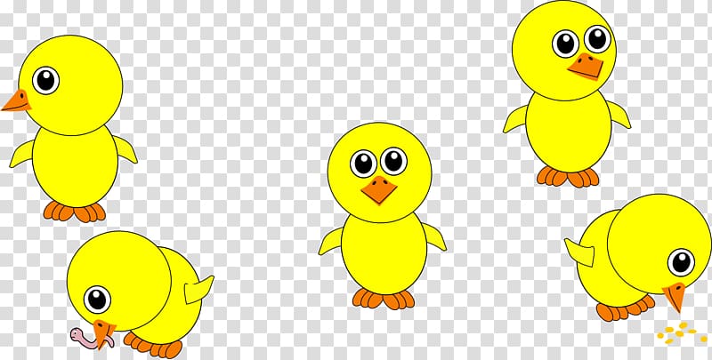 Chicken Cartoon Kifaranga , Yellow chickens transparent background PNG clipart
