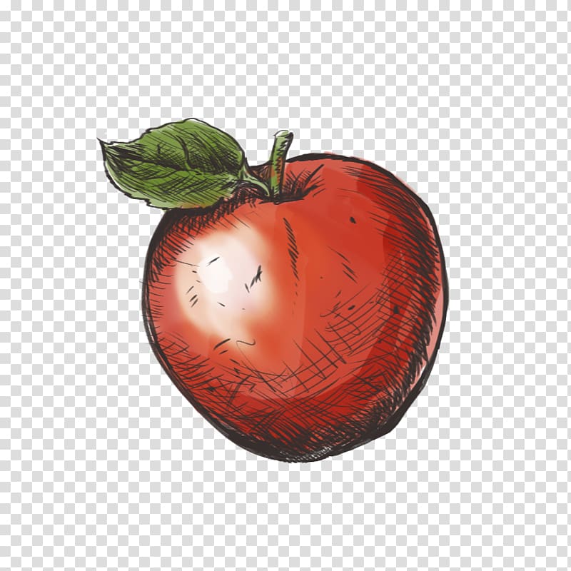 Apple, apple royal gala transparent background PNG clipart