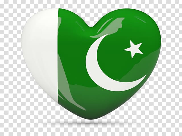 Flag of Pakistan Independence Day National flag, pti flag hd transparent background PNG clipart