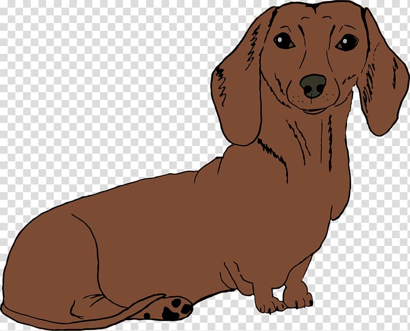 Dachshund Puppy Dog breed Companion dog Hound, dachshund cartoon dogs transparent background PNG clipart