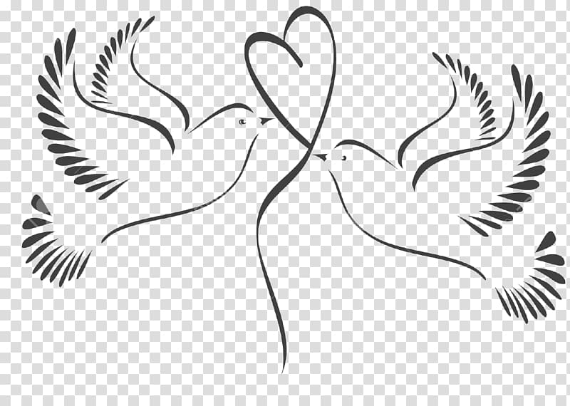 Pigeons and doves Wedding graphics Illustration, wedding transparent background PNG clipart