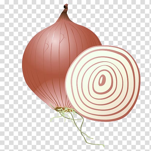 onion Vegetable, cartoon onion transparent background PNG clipart