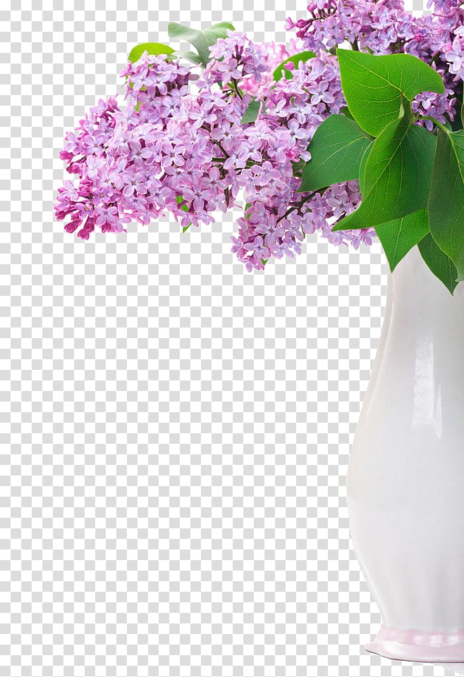 Flower Lilac Purple , lilac transparent background PNG clipart