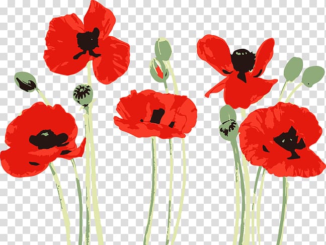 Watercolor painting Poppy Drawing Bobbie Burgers, painting transparent background PNG clipart