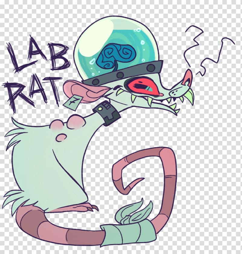 Laboratory rat Illustration Drawing, rat transparent background PNG clipart