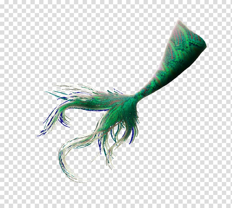 Tail Mermaid Legendary creature , Mermaid transparent background PNG clipart