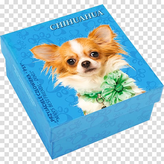 Chihuahua Puppy Dog breed Companion dog Toy dog, puppy transparent background PNG clipart