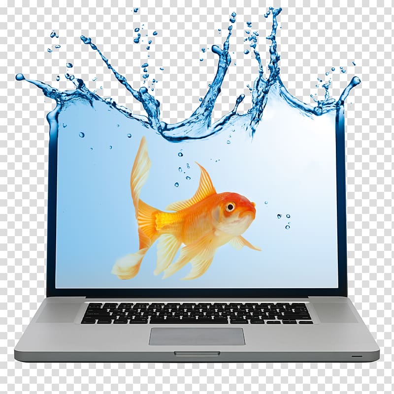 Laptop Advertising Notebook Business Marketing, Laptop and goldfish transparent background PNG clipart