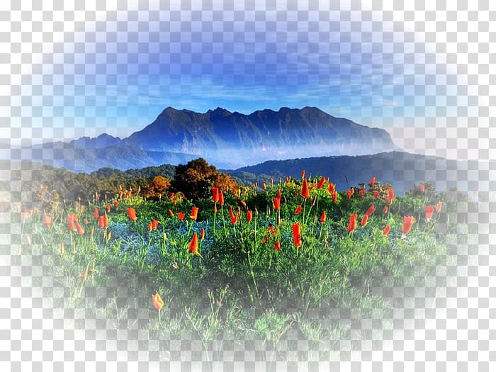 Chiang Mai Si Lanna National Park Chiang Dao District Landscape Nature, others transparent background PNG clipart