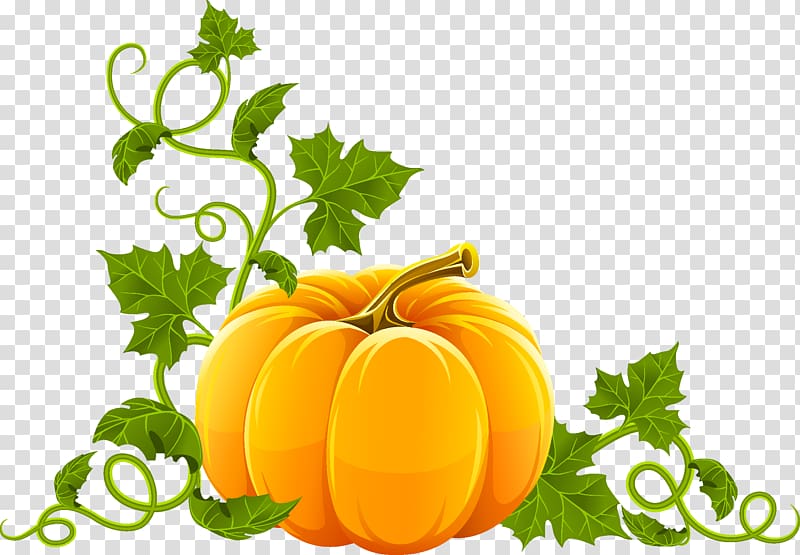 Pumpkin pie Jack-o-lantern , pumpkin transparent background PNG clipart