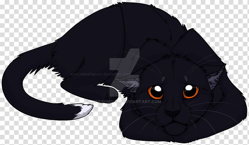 Black cat Into the Wild Warriors Erin Hunter, Cat transparent background PNG clipart
