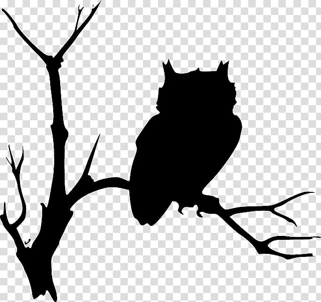 Barn owl Drawing , Tree Drawing Outline transparent background PNG clipart