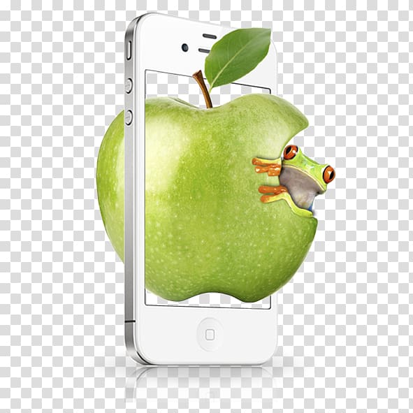 iPhone 4 iPhone 5 Apple Google s, Apple Apple phone box blue frog transparent background PNG clipart