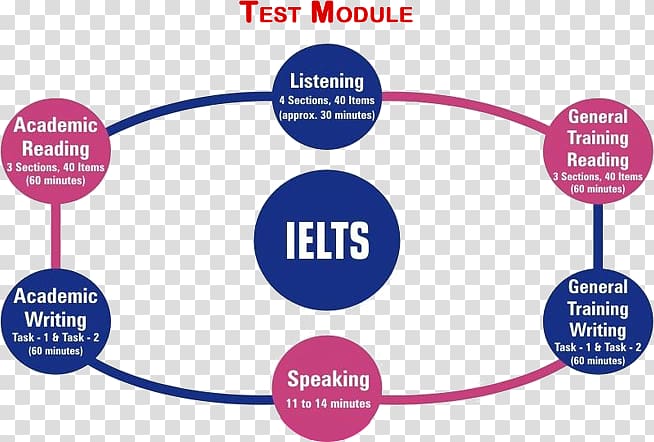 International English Language Testing System Language assessment TOEIC, International English Language Testing System transparent background PNG clipart