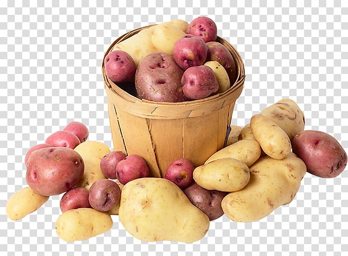 Fingerling potato Yukon Gold potato Competition Superfood, others transparent background PNG clipart