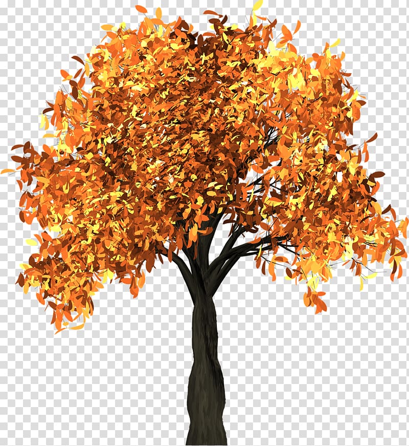 Autumn leaf color Tree Branch , falling transparent background PNG clipart
