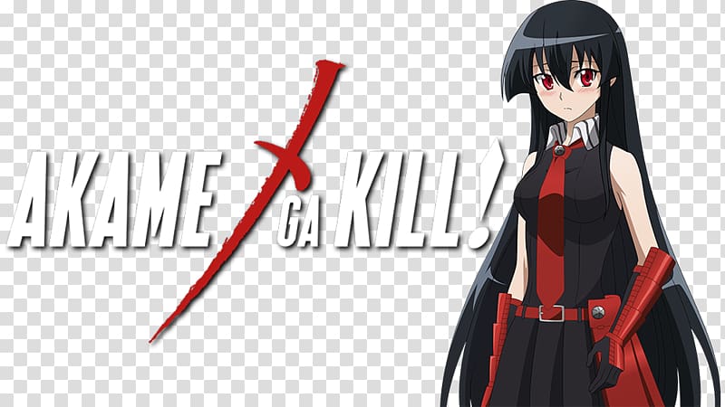 Akame ga Kill! Cosplay Manga Skyreach Costume, cosplay transparent background PNG clipart