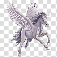 Pegasus transparent background PNG clipart