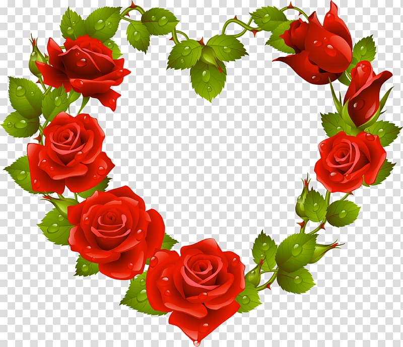 Heart Garden roses Flower Red , heart transparent background PNG clipart