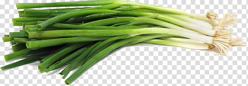 Cong you bing Scallion Onion Vegetarian cuisine Vegetable, Green Onion File transparent background PNG clipart