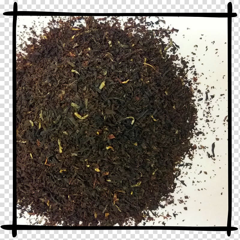 Nilgiri tea Assam tea Earl Grey tea Gunpowder tea, english breakfast transparent background PNG clipart