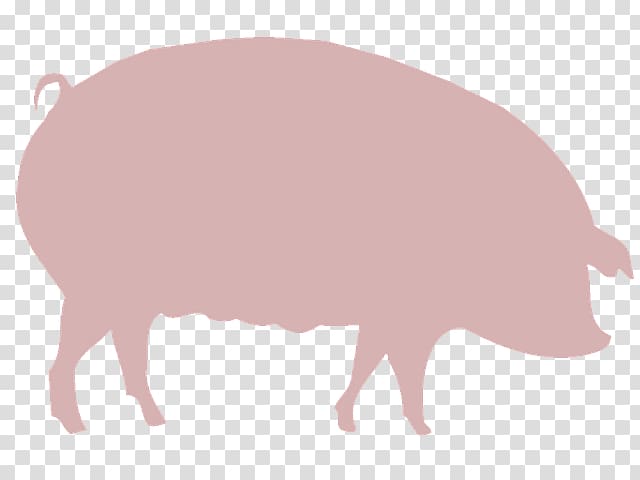 Domestic pig Agriculture Farm , pig transparent background PNG clipart