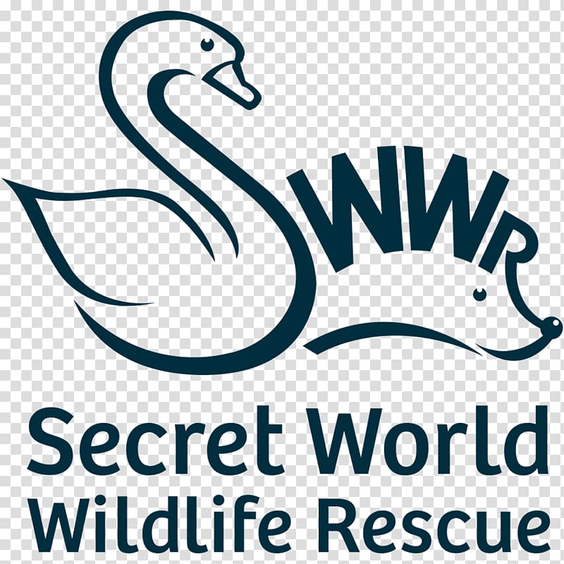 Secret World Wildlife Rescue (open for animal admissions only, see website for public events) East Huntspill Highbridge, social rescue transparent background PNG clipart