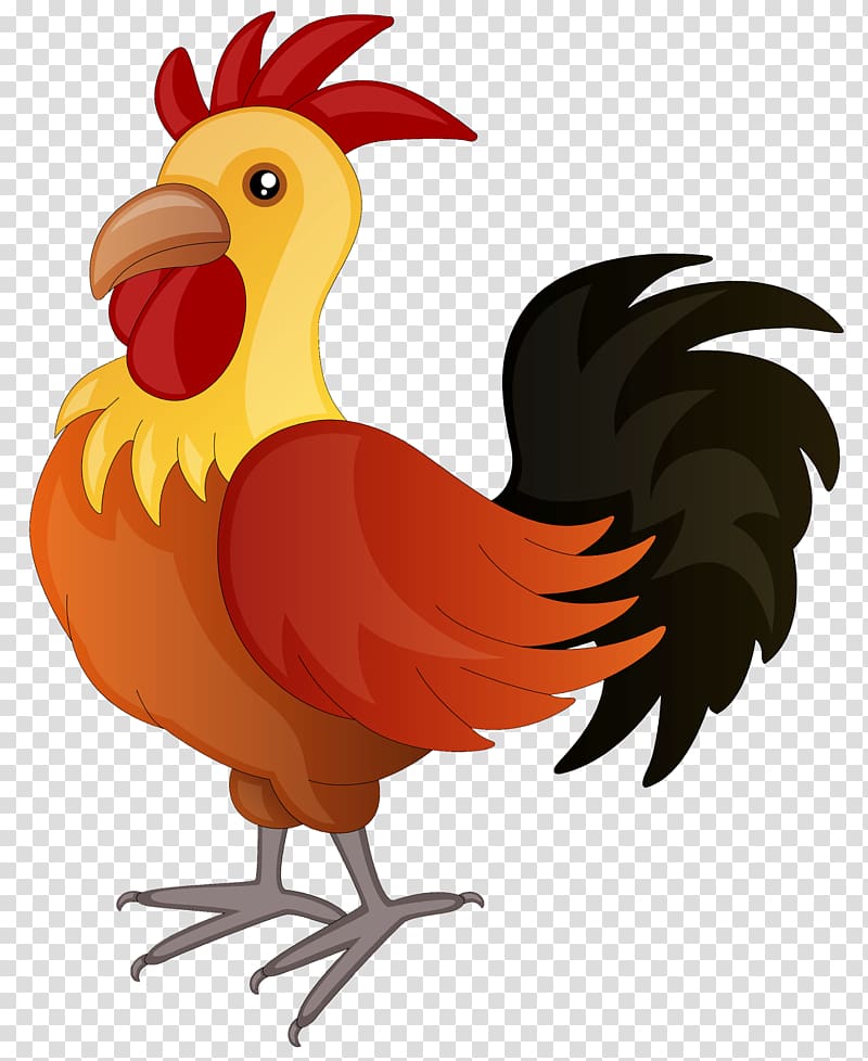 Rooster Modern Game fowl American Game Old English Game fowl , GALLOS transparent background PNG clipart
