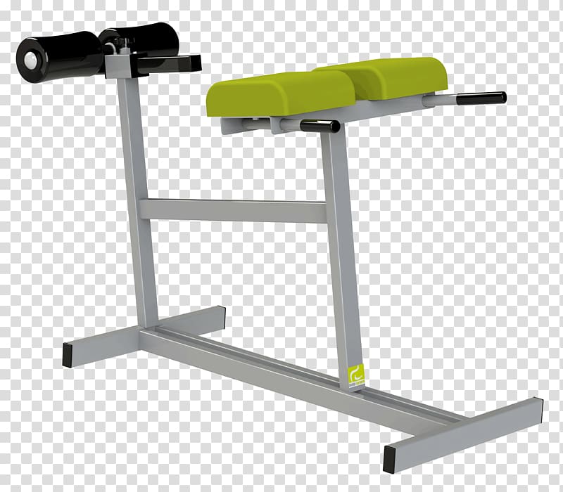 Weight training Sport Physical fitness Weight machine Lumbar vertebrae, others transparent background PNG clipart