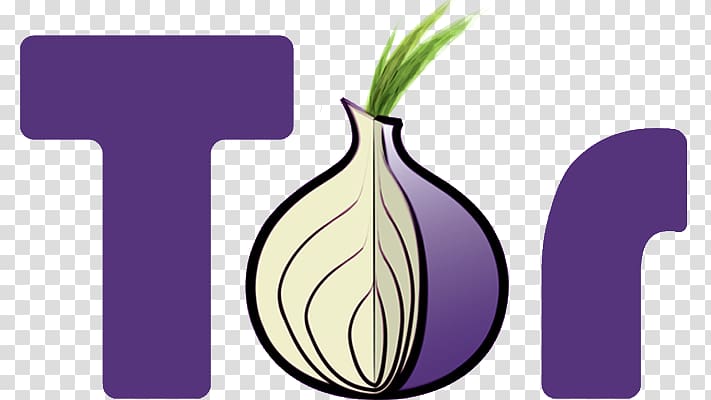 Tor .onion Onion routing Anonymous web browsing Anonymity, intelligent monitoring transparent background PNG clipart
