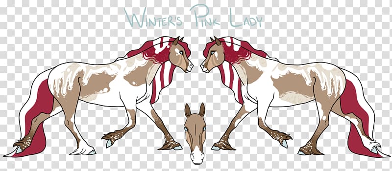 Mustang Foal Pony Mare Stallion, mustang transparent background PNG clipart