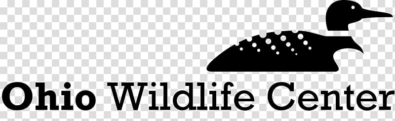 Ohio Wildlife Center Animal control and welfare service Human–wildlife conflict Non-profit organisation, others transparent background PNG clipart