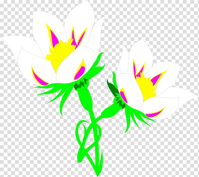 Lilies Lily Fletcher , white flower illustration transparent background PNG clipart