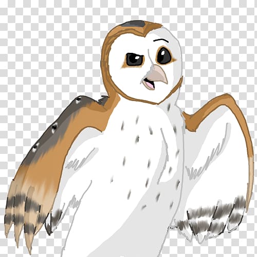 Barn owl Penguin Cartoon Bird, Barn Owl transparent background PNG clipart