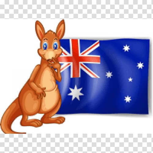 Australia Red kangaroo Macropodidae, Australia transparent background PNG clipart