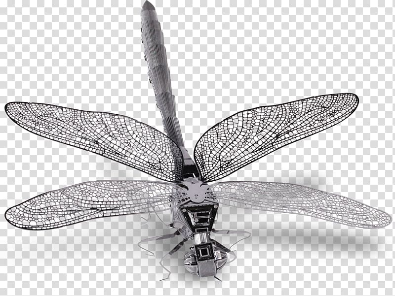Insect wing Alkaline earth metal Dragonfly, dragon fly transparent background PNG clipart