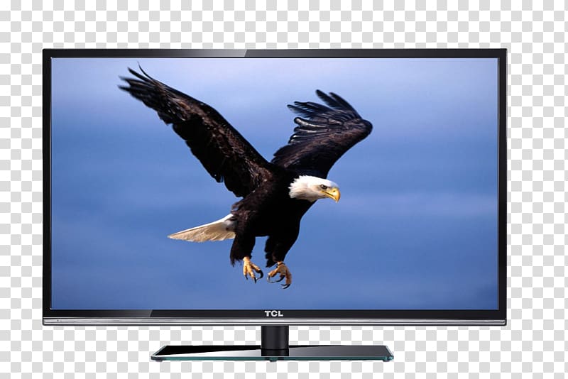 Bald Eagle Desktop computer , LCD TV wall supports fourth-generation magic sound system transparent background PNG clipart