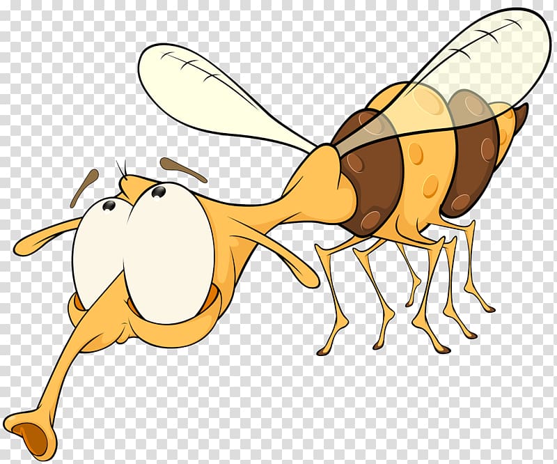 Honey bee Insect Pollinator, wasp transparent background PNG clipart