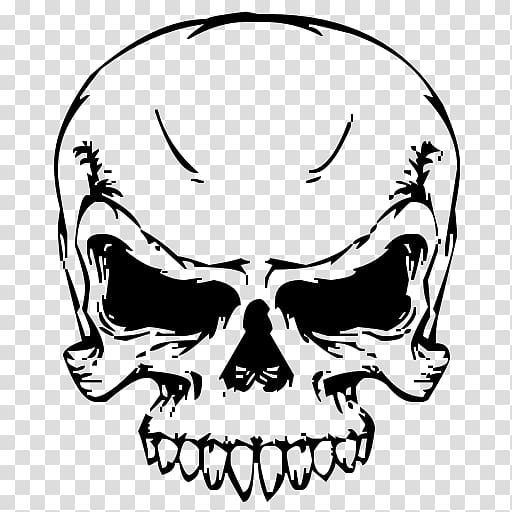 skull , Skull , Skull transparent background PNG clipart
