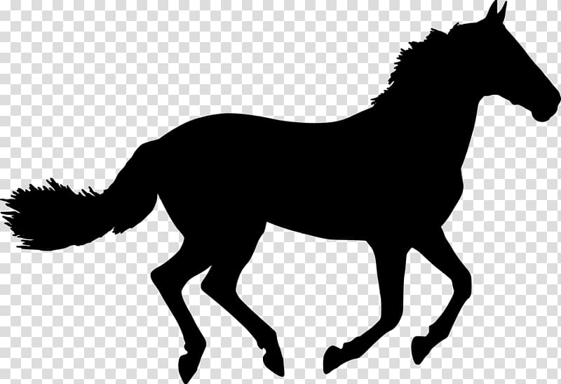 Horse Drawing Silhouette , horse transparent background PNG clipart