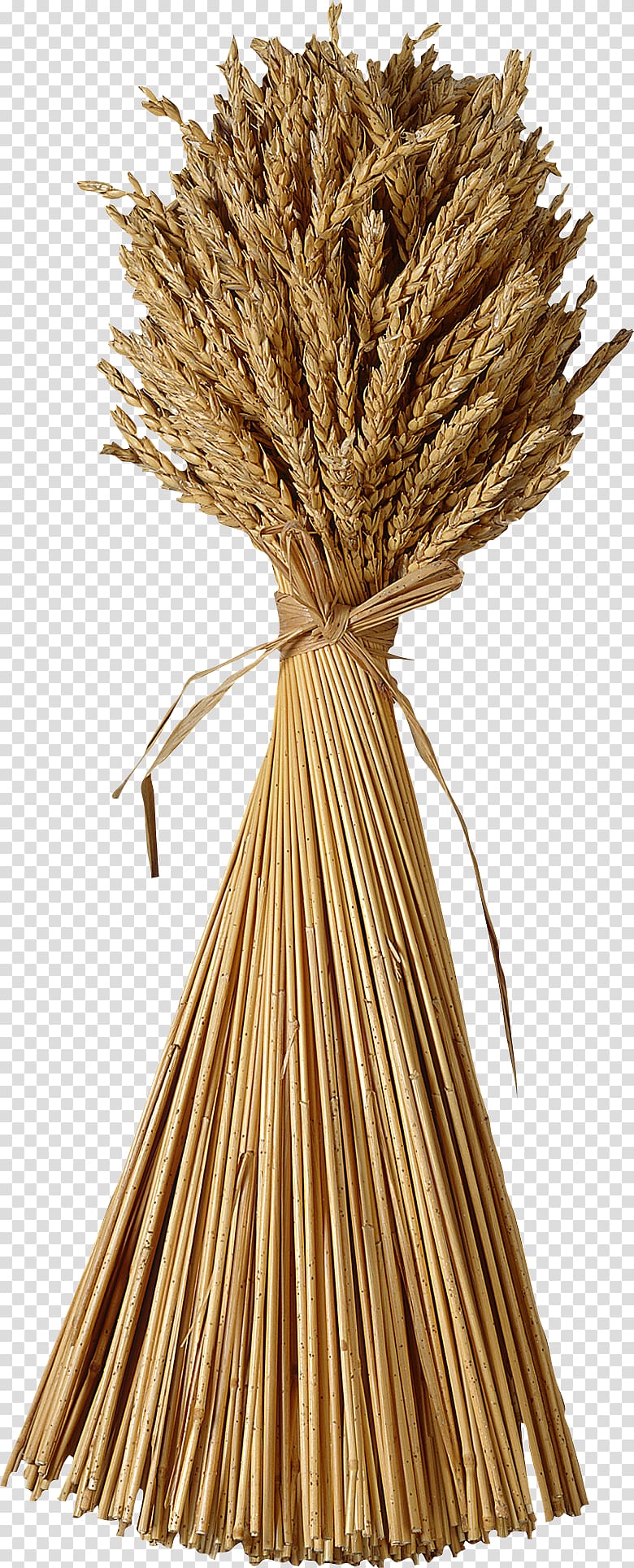 Wheat Sheaf , Wheat transparent background PNG clipart