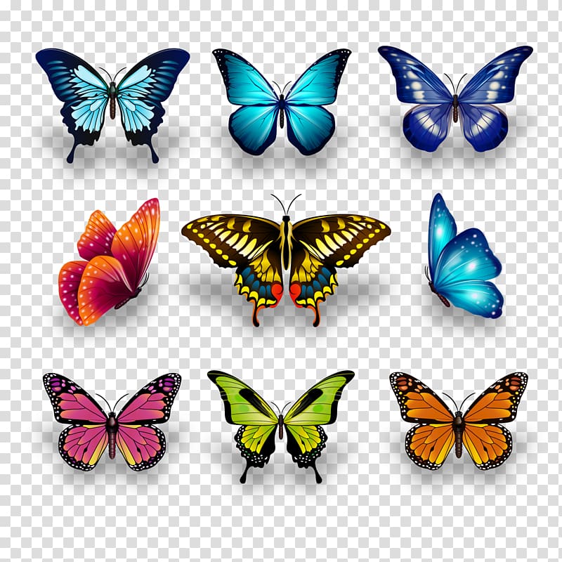 Monarch butterfly Insect Swallowtail butterfly Papilio ulysses, decorative butterfly transparent background PNG clipart