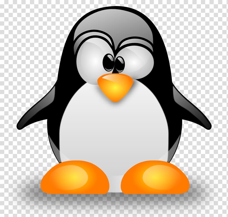 Linux Operating Systems Installation Programmer Ubuntu, linux transparent background PNG clipart